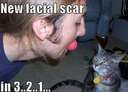 new facial scar in cat guy with ball in mouth