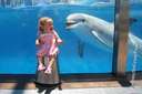 girl scared of dolphin