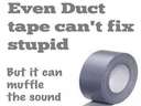 even duct tape cant fix stupid