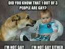 dog and a baby discussing being gay