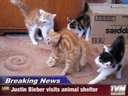 Justin Bieber visits animal shelter