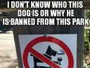 this weird dog is banned from the park