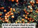 a lot of people died #food