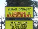 Stop asking about your cat, try the chicken #chinese #restaurant