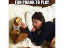A fun prank to play on a passed out vegan #food