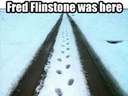 Fred Flintstone was here #snow #tracks
