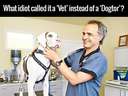 Why is it called a vet #doctor #dog