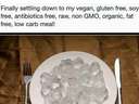 Finally, a vegan gluten free soy free antibiotics free raw organic fat free low carb meal #ice