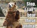 Stop, I cant bear these animal jokes