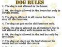 here are some dog rules to live by!