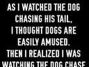 as I watched the dog chase his tail