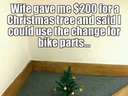 My wife gave me 200 dollars for a Christmas tree