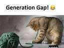 theres a generation gap with cats