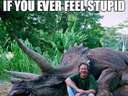 if you ever feel stupid #spielberg #dinosaur