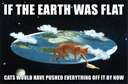 If the earth was flat #cats