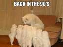 Back in the 90s all the dogs were let out and nobody knows who did it
