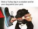 This is a great way to make your dog look dangerous! #turkeyleg