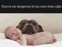 They’re not dangerous if you raise them right #dogs #kids