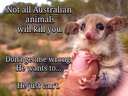 Not all australian animals will kill you
