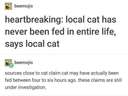 cat has never been fed in entire life