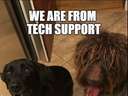 these dogs are from tech support
