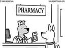 Dog pigs up drugs at a pharmacy