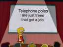Telephone poles are trees with a job