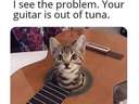 Your guitar is out of tune #cat