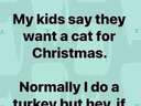 My kids wanted a cat for Christmas