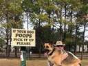 If your dog poops, pick it up