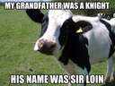 My grandfather was a knight #cow