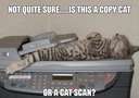 Is this a copycat or a cat scan