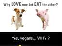 Why love one but eat the other