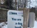 You are a dog leash
