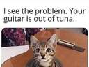 This guitar is out of tune #tuna #cat