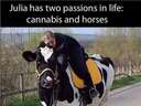 Julia has two passions in life: cannabis and horses #cow